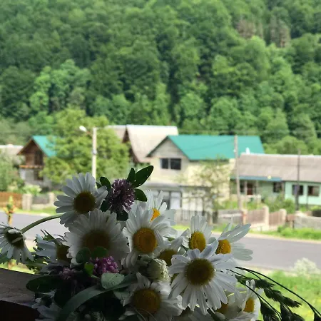 Valercha Guest house Yaremche